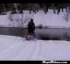 WTF Links - Ski-Doo Into a Tree