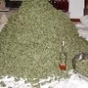 Cool Pictures - A Ton Of Weed