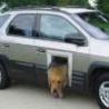Funny Links - Doggie Door Car