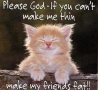 Funny Animals - Please God