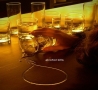 Cool Pictures - Alcohol Kills