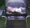 Funny Links - Grilling Baby