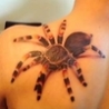 Cool Pictures - Another 3D Tattoo