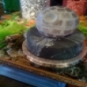 Funny Pictures - Death Star Cake