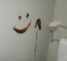 Funny Links - Shitty Toilet