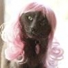 Funny Animals - Cat Wigs