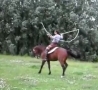 Cool Links - Horse Jumps Rope 