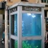 Cool Pictures - Aquarium Phone Booth