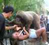 Funny Pictures - Bear Climbs on Girl