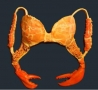  - Bra Out Of Crab