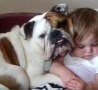 Cool Links - Bulldog Looks After Sleeping Toddler 