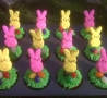 Easter Funny Pictures - Bunny Cupcakes