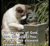 Funny Links - Cat and a Statue