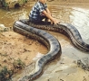 Cool Links - Chilling on a Snake