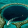 Cool Pictures - Belize Blue Hole