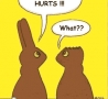 Easter Funny Pictures - Eaten Chocolate Easter Bunnies 