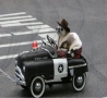 Funny Animals - New Sheriff in Town