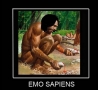Funny Pictures - Emo Sapiens