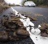 Cool Pictures - Road Work Fail