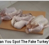 Funny Pictures - Fake Turkey