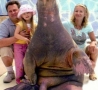 Funny Pictures - Family Photo with Walrus