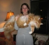 Funny Animals - Giant Cat