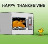 Funny Pictures - Happy Thanksgiving