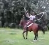 Cool Links - Horse Skipping