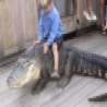Funny Animals - Lil Croc Rider