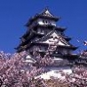 Cool Pictures - Himeji Castle
