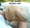 Easter Funny Pictures - Naughty Bunnies