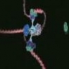 Cool Links - DNA Molecular Visualizations