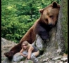 Funny Pictures - Peeping Bear