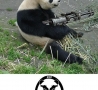 Funny Animals - Pistols for Pandas