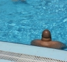 Funny Pictures - Pool Dickhead - WTF?