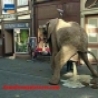 Funny Pictures - Funny Elephant Diarrhea