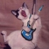 Funny Links - Guitar Cat