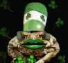 St. Patricks Day - St. Pattricks Frog