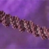 Cool Links - DNA Visualizations