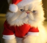 Christmas Pictures - Unhappy Santa Claws