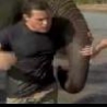 WTF Links - Elephant vs Tamer