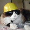 Funny Animals - Construction Kitty