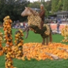 Cool Pictures - Harvest Festival