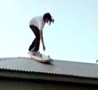 Funny Pictures - Roof Surfing Gone Crazy