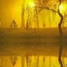 Cool Pictures - Eerie Bike Path