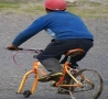 Funny Pictures - Bike Repair