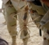 WTF Links - The Camel Spider