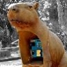 Funny Pictures - Animal Telephones