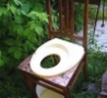 Funny Links - Modern Toilet