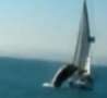 Cool Links - Killer Whale Destroys Sailboat - OMFG!!